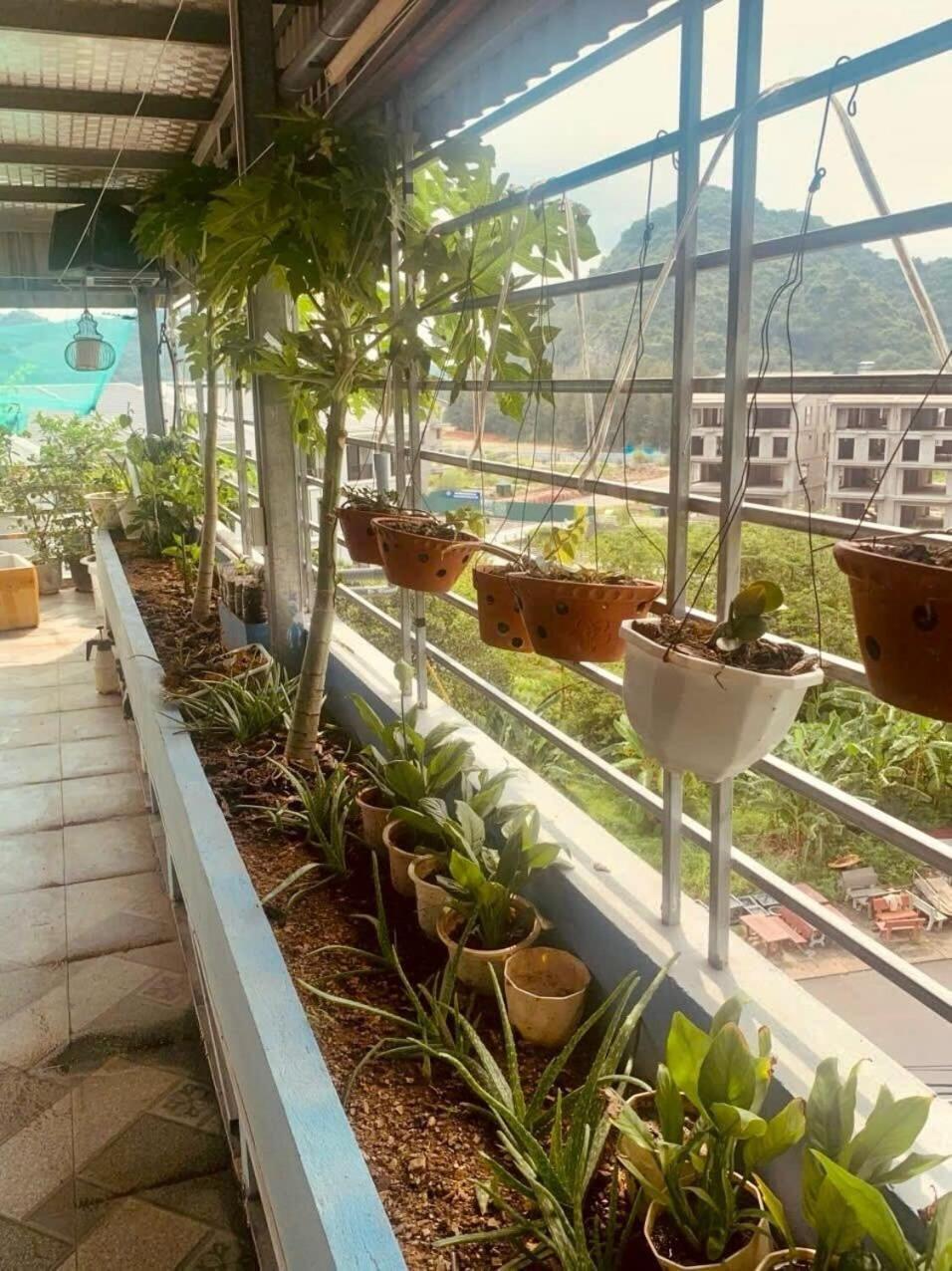 Thu Thuy Hotel Chan Chau 외부 사진